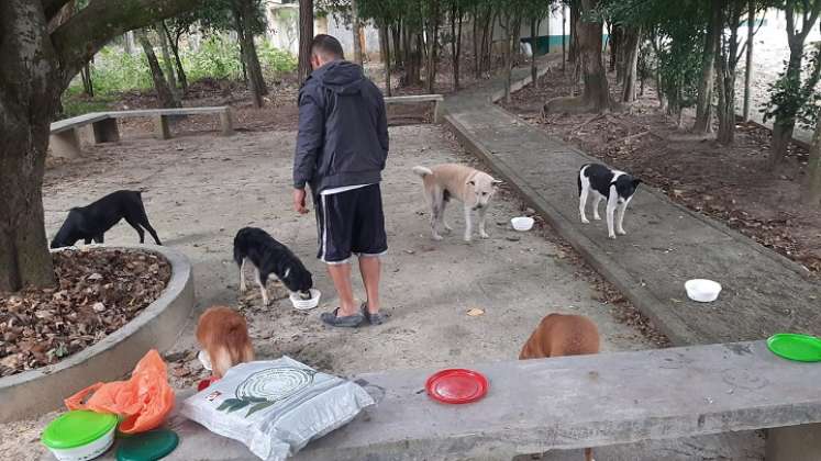 En Ocaña se promueve la Unidad de Bienestar Animal en condiciones de vulnerabilidad./ Javier Sarabia/La Opinión