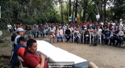 Campesinos cultivadores de coca vendrán el viernes a Cúcuta a hablar con el Gobierno Nacional./Foto cortesía