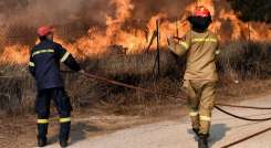 Hasta la fecha se han presentado más de 50 incendios forestales en Norte de Santander.