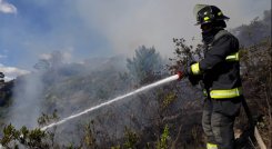 Incendios forestales en Colombia. / Foto: Colprensa