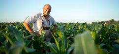 En 2023 Alimentos Polar Colombia prevé incrementar un 25% la compra de maíz nacional